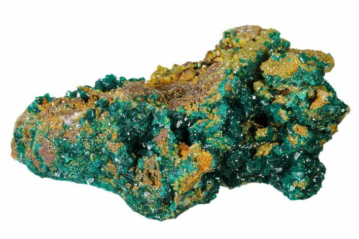 Gemmy Dioptase Clusters with Mimetite - N'tola Mine, Congo #148465